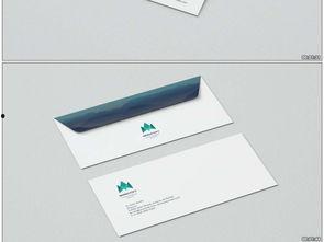 国产vi设计视频,揭秘品牌形象塑造的视觉密码  第2张