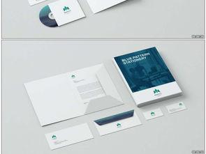 国产vi设计视频,揭秘品牌形象塑造的视觉密码  第3张