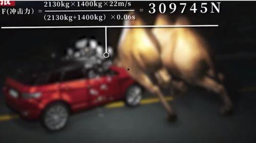 国产汽车撞骆驼视频 第2张 国产汽车撞骆驼视频 第2张