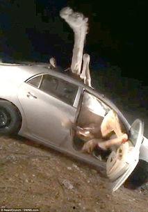 国产汽车撞骆驼视频 第3张 国产汽车撞骆驼视频 第3张