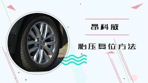 国产锐界胎压灯复位视频,国产锐界胎压灯复位操作步骤详解 第2张 国产锐界胎压灯复位视频,国产锐界胎压灯复位操作步骤详解 第2张