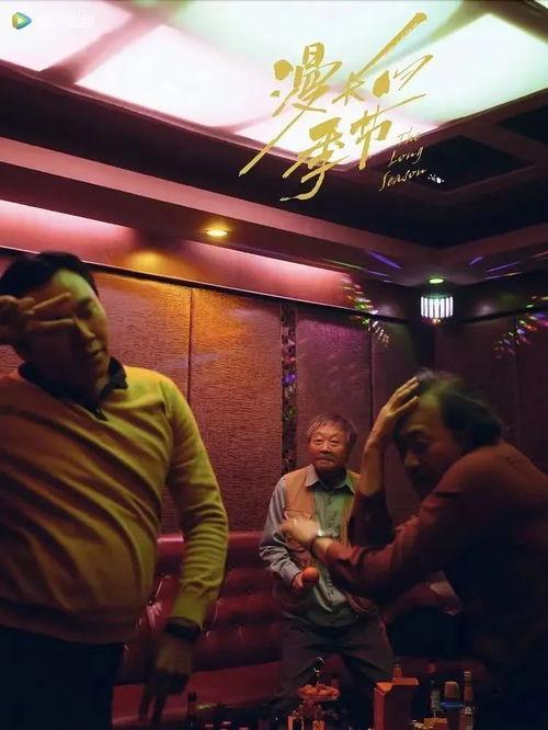 国产剧老年人在线观看视频,国产剧老年人在线观看新风尚  第1张