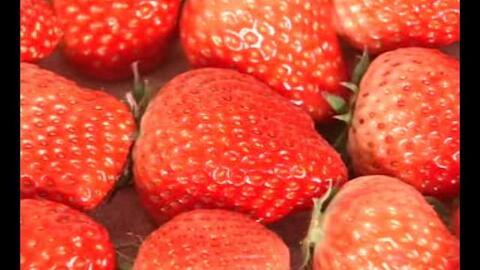 草莓视频国产好片推荐,国产佳作，带你领略光影魅力  第3张