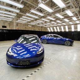 特斯拉国产真实对比图视频,揭秘价格与性能差异  第2张