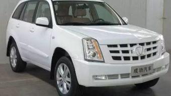 认识各种国产车标视频,视频带你轻松掌握各大品牌特色  第1张