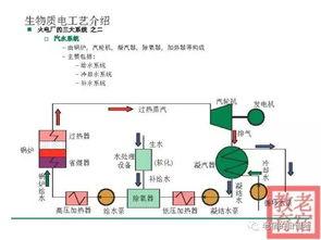 国产香槟工艺流程视频,从葡萄采摘到气泡绽放  第3张